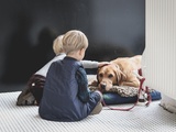 Comment apprendre à votre enfant à s’occuper d’un chien