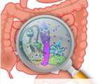 Notre microbiote intestinal – en prendre soin