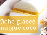 Bûche glacée mangue coco