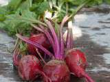 Salade de betteraves roses