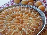 Tarte briochée aux abricots