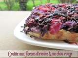 Croûte de chou rouge