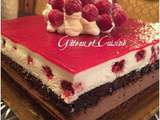 Entremet aux deux mousses chocolat et framboises