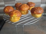 Muffins au kiri et à la dinde au combi ninja