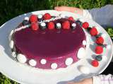 Entremets myrtille-framboises