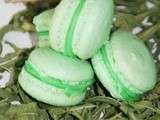 Macarons à la verveine,  réflexions sur l'huile essentielle, cristaux ou pas