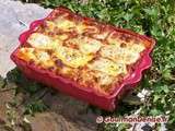 Gratin d'aubergines à la tomate, parmesan et mozzarella