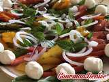 Salade de tomates anciennes