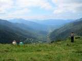 Flamiche au Bethmale, fromage des Pyrénées Ariégeoises