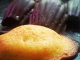 Madeleines Citrons en Coque Chocolat Noir sans Lactose