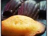 Madeleines Citrons en Coque Chocolat Noir sans Lactose