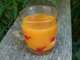 Jus gourmand de nectarines et d’abricots