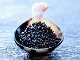 A la Découverte du Caviar Français, avec Comtesse du Barry