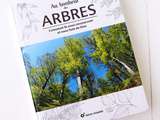 Au bonheur des Arbres, comment ils nous ressourcent et nous font du bien