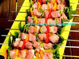 Brochettes de Filet Mignon au Weber