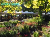 Fête des Plantes d'automne de Saint Jean de Beauregard, Jardin Plaisir des Sens