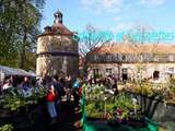 Hortiflor, mon stand chouchou à Saint Jean de Beauregard