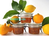 Lemon Marmelade, Confiture de Citron Bergamote