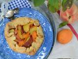 Galette alle pesche e albicocche