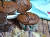 Muffins tout chocolat