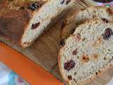 Pain pour le petit déjeuner, au levain, épices à pain d'épices, raisins et cranberries