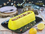 Bûche de Noël citron praliné