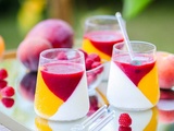 Panna cotta mangue framboise