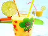 Smoothie mangue orange coco et test du blender e.zichef superior