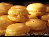 2ème atelier macarons - octobre 2010