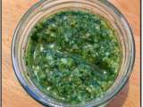 Pesto de coriandre