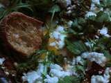 Shakshouka verte du printemps