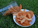 Chips de melon