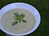 Velouté froid de courgette, ail et fines herbes