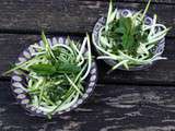 Spaghetti de courgettes au pesto d’herbes et grains de courge