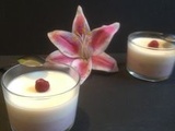 Pannacotta framboise chocolat blanc