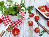 Soupe de tomates à la livèche