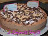 Essai entremet 2 chocolats