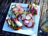 Toasts ( ou tartines, ou sandwich ouvert.... ) au radis et à l'oignon