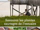 Savourez les plantes sauvages de l’estuaire