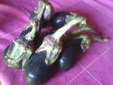 Petites aubergines farcies en sauce tomate