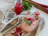 Sirop de rhubarbe (recette facile)