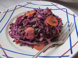 Salade de lentilles, chou rouge et carottes