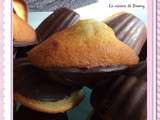 Madeleine à la vanille en coque de chocolat noir