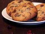 Cookies aux cranberries, raisins blonds, pépites de chocolat et sucre complet