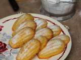 Madeleines sans gluten