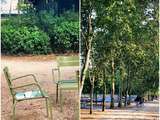 Promenade parisienne... Jardin du Luxembourg, 6ème arrondissement