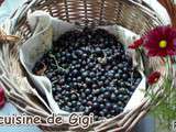 Confiture de cassis TM31