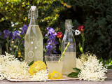 Limonade aux fleurs de sureau, le champagne des fées