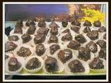 Petits rocher aux pralin