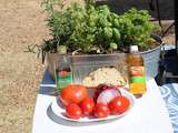 Salade de tomates à la mode italo américaine